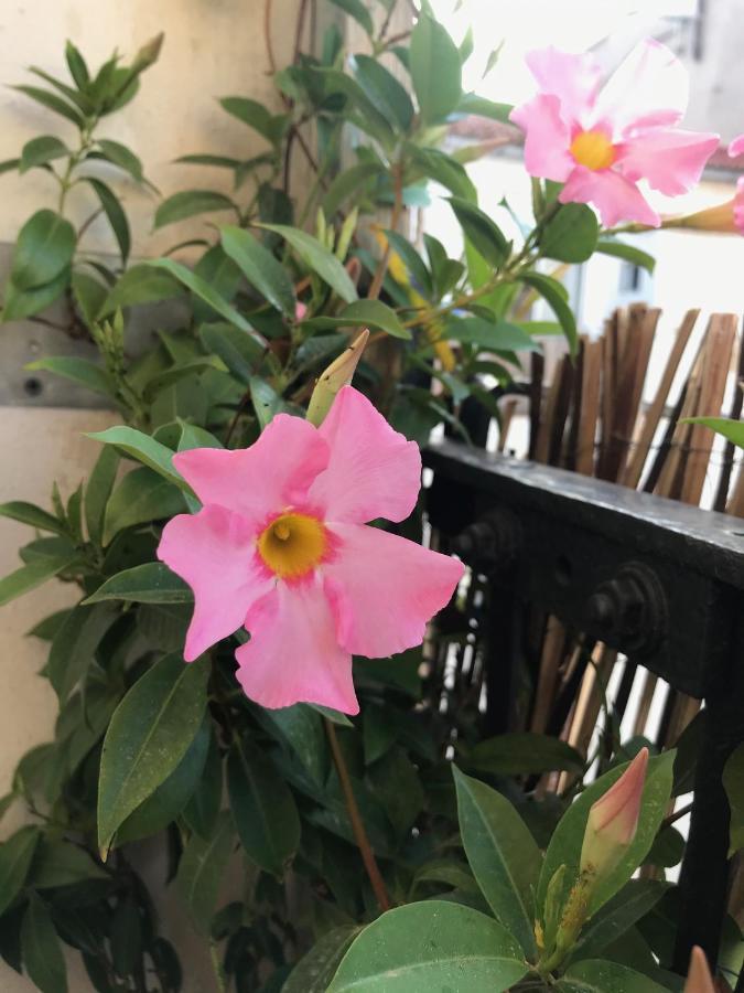 Appartement Elsa 瓦伦西亚 外观 照片
